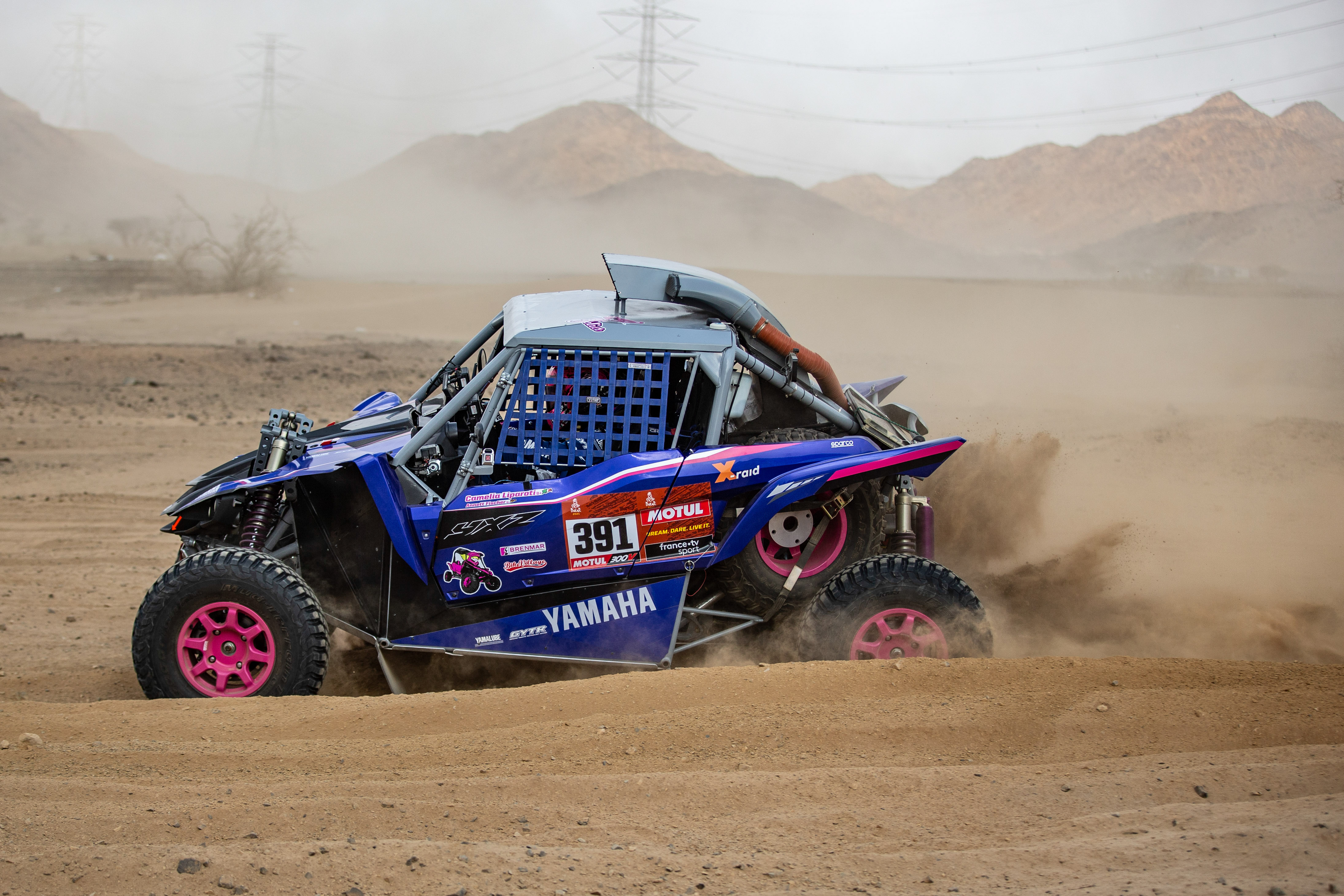 Ray Racing Rally Team Raid Dakar Rally Racing
